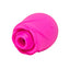 https://centrala.cityrealex.cz/eshop/foto/ROMP.ROSE.2_D.jpg