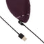 https://centrala.cityrealex.cz/eshop/foto/WOMANIZER.NEXTDUO.PRP_B.jpg